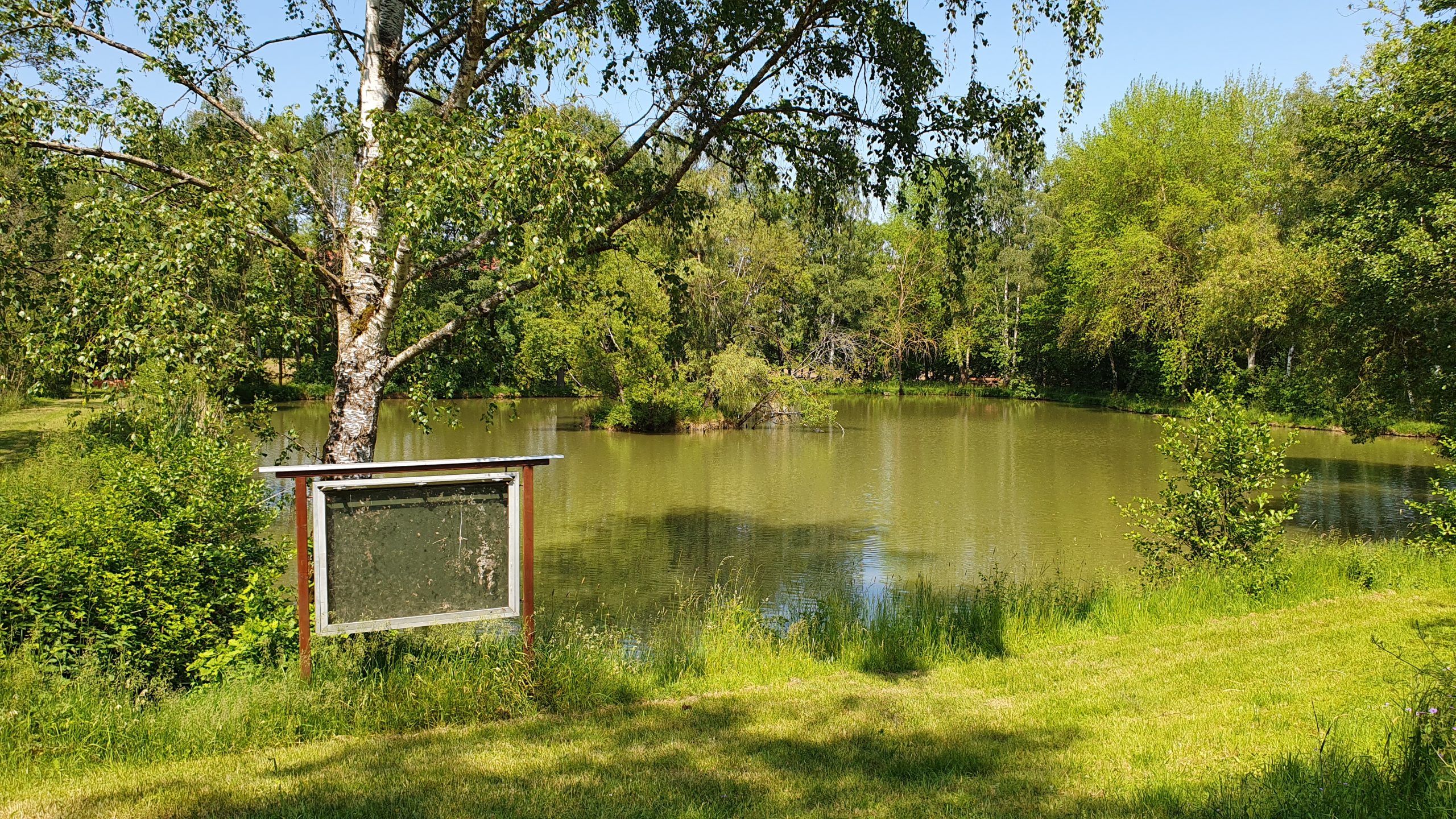 Fischweiher Reiterhof Weber