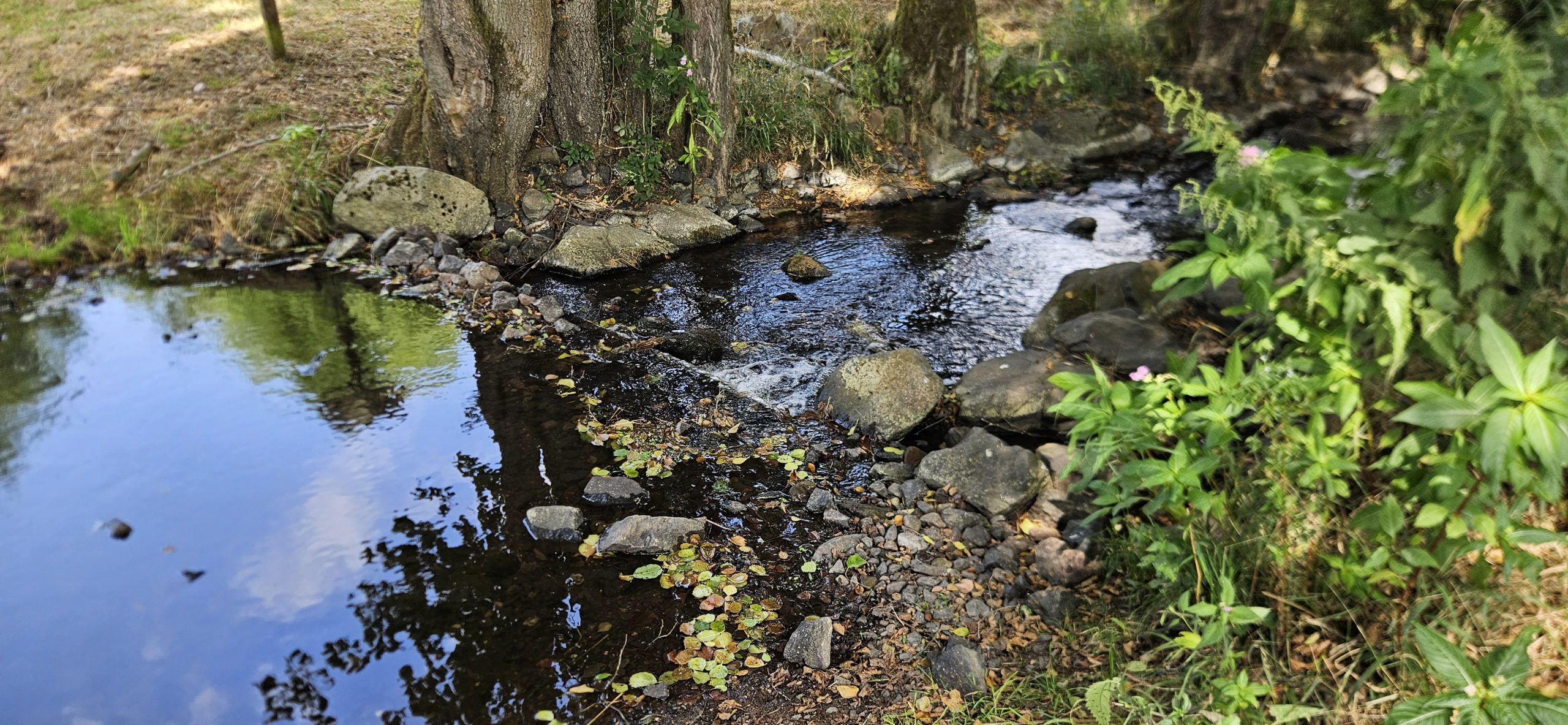 Flussreiten